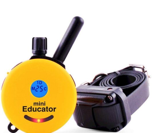 Educator E Collar Remote Dog Training Collar