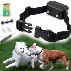 How To Use An Electric Dog Collar