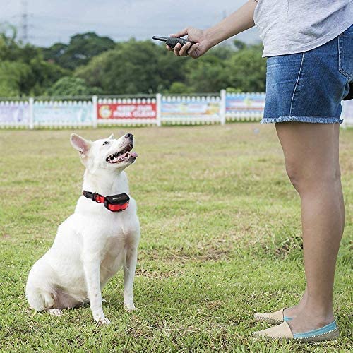 PetTech Dog Training Shock Collar
