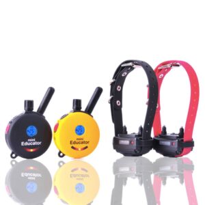 Educator E training dog collar