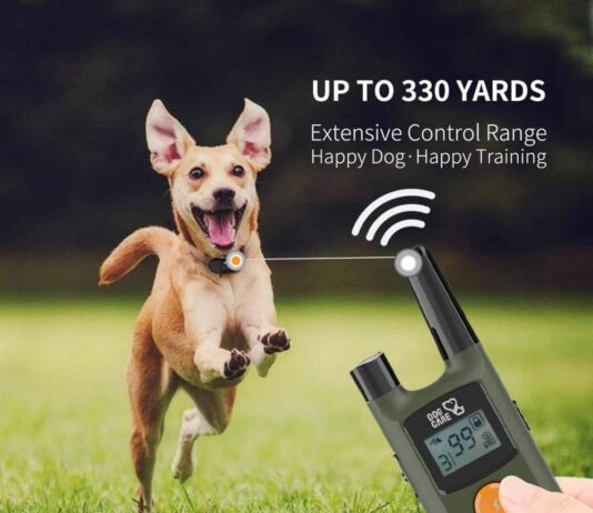 DOG CARE Dog Training Collar with RemoteBeep and Vibration Rechargeable Collar for Dogs