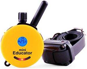 Educator E-collar remote dog training collar