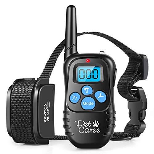 GPS Dog Collar 2024 Best GPS Collars and Trackers My Dog Training