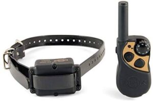 Petsafe yard and park add a dog collar - budget friendly choice of a training collar