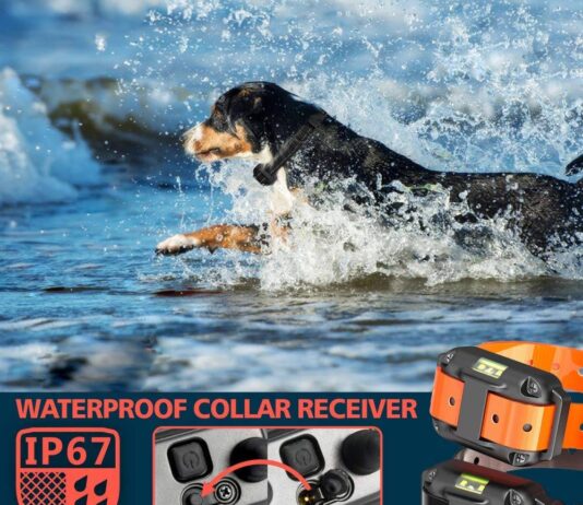 f color dog training collar reviews