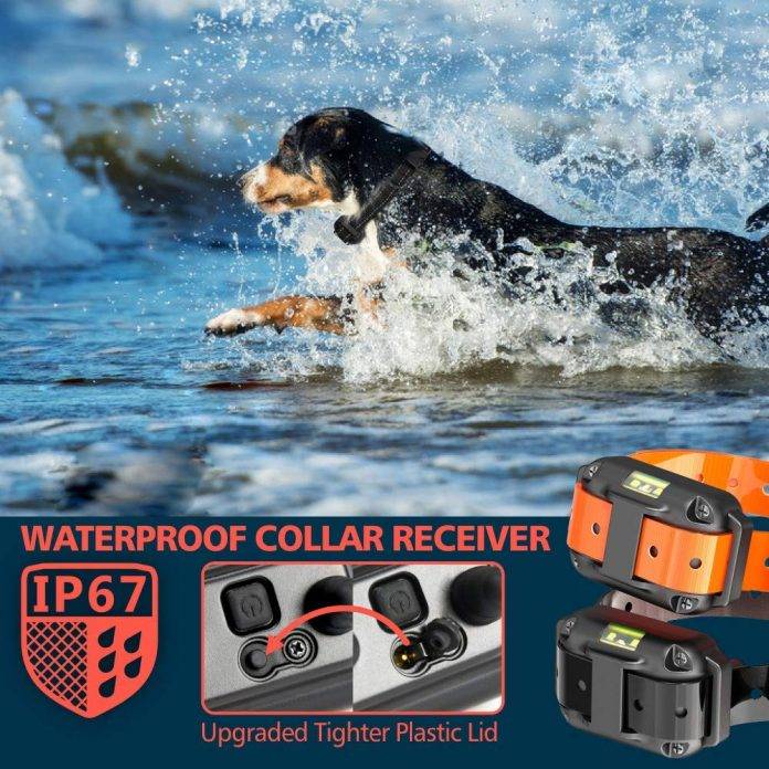 F-color Dog Training Collar Upgraded Waterproof Dog Shock Collar