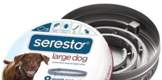 Seresto Flea and Tick Collar