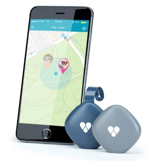 Findster Duo+ Pet Tracker