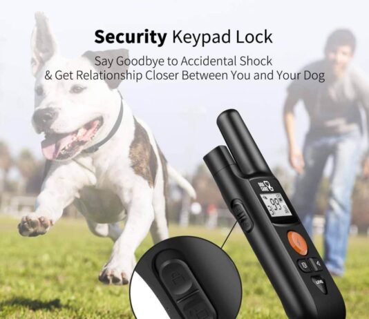 Dog Shock Collar Dog Training Collar with Remote