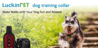 LuckinPET Dog Training Collar