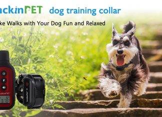 LuckinPET Dog Training Collar