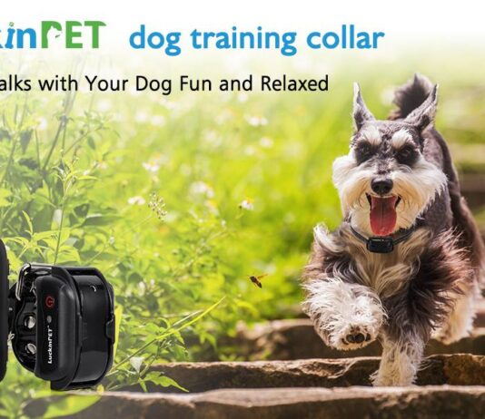 LuckinPET Dog Training Collar