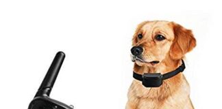 Petrainer PET998DRB1 Rainproof Dog Training Shock Collar with Remote