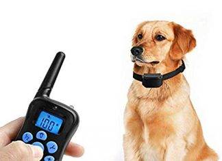 Petrainer PET998DRB1 Rainproof Dog Training Shock Collar with Remote