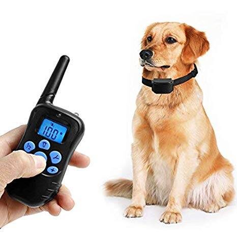 Petrainer PET998DRB1 Rainproof Dog Training Shock Collar with Remote