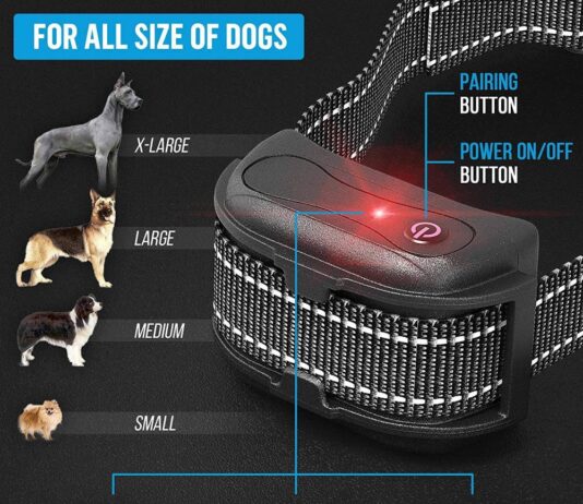 Yox Waterproof Dog Training Collar Review