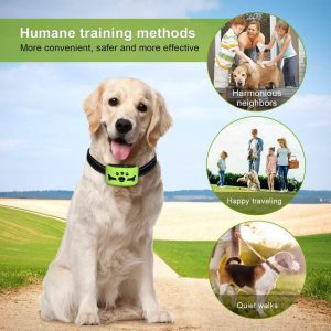 Dog No Bark Collar with Smart Detection Vibration and Harmless Shock