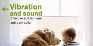 Dog No Bark Collar with Smart Detection Vibration and Harmless Shock