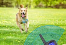 Felyong Dog Training Collar with Remote – Affordable and Feature-Packed