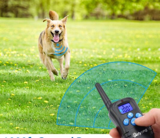 Felyong Dog Training Collar with Remote – Affordable and Feature Packed