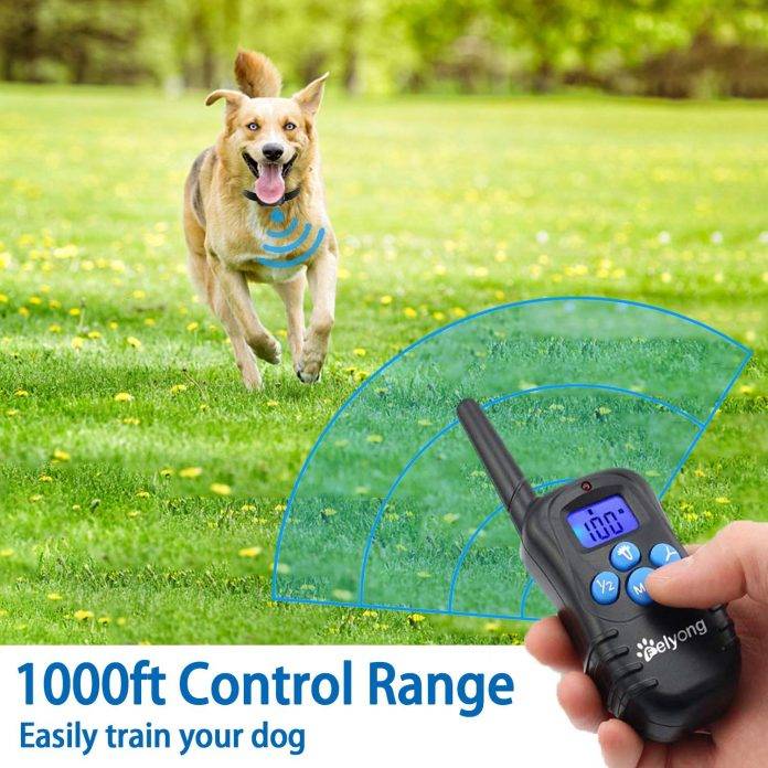 Felyong Dog Training Collar with Remote – Affordable and Feature-Packed