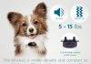 GoodBoy Mini No Shock Remote Collar for Dogs with Beep