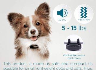 GoodBoy Mini No Shock Remote Collar for Dogs with Beep