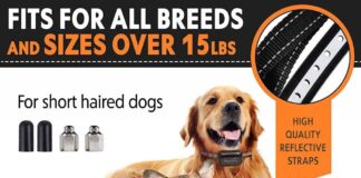 Pawious Bark Collar for Small Dogs