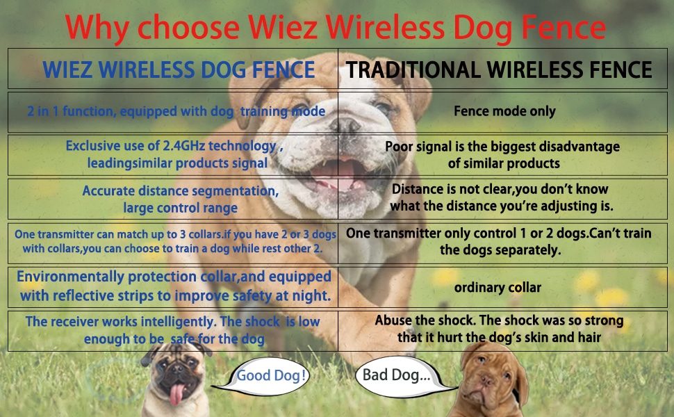 WIEZ Dog Fence Wireless and Training Collar