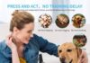 ZENVEY e collar for dogs – Provide Bunch of Quality feature
