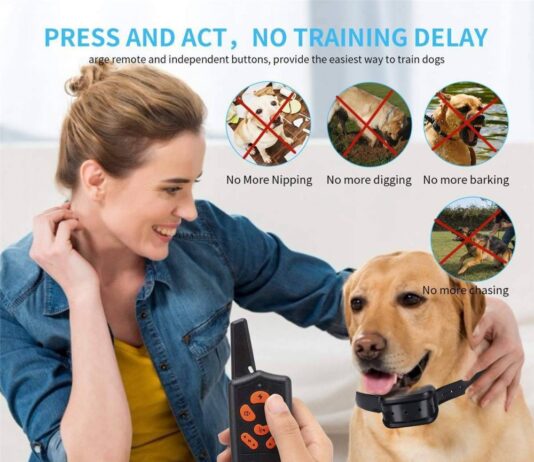 ZENVEY e collar for dogs – Provide Bunch of Quality feature