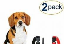 eXuby 2X Shock Collar for Small Dogs w/ 1 Remote & Training Dog Clicker