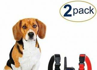 eXuby 2X Shock Collar for Small Dogs w/ 1 Remote & Training Dog Clicker