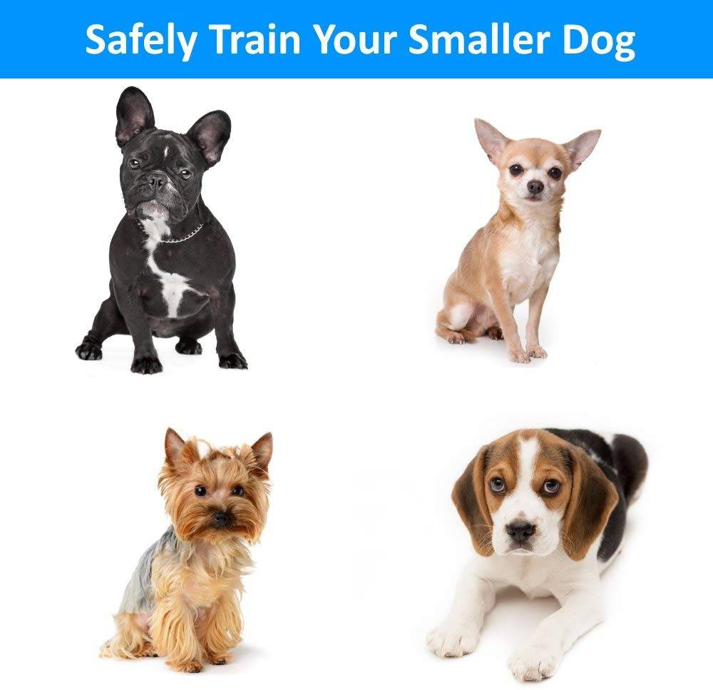eXuby 2X Shock Collar for Small Dogs w/ 1 Remote & Training Dog Clicker