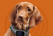 BRISON Dog Bark Collar - 3 Modes Beep Vibration No Shock
