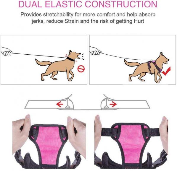 PoyPet No Pull Dog Harness – Flexible and easy to use