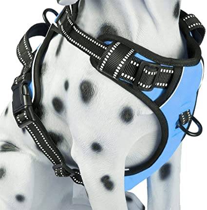 PoyPet No Pull Dog Harness – Flexible and easy to use