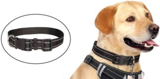 WINSEE Dog Harness No Pull