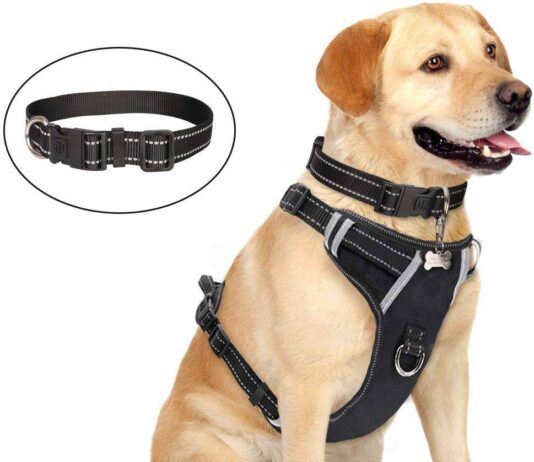 WINSEE Dog Harness No Pull