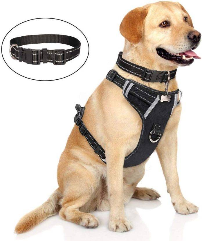 WINSEE Dog Harness No Pull