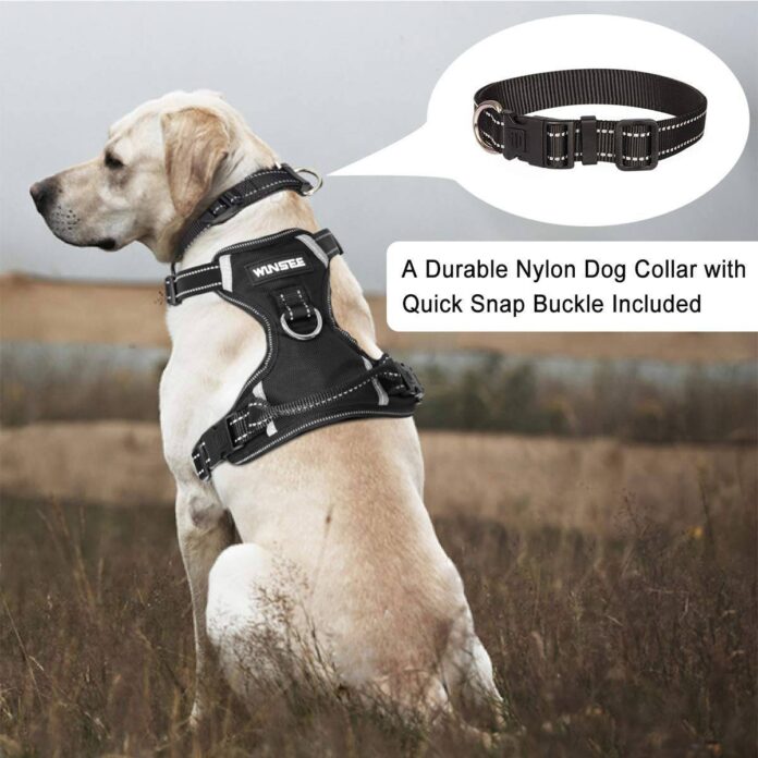 WINSEE Dog Harness No Pull