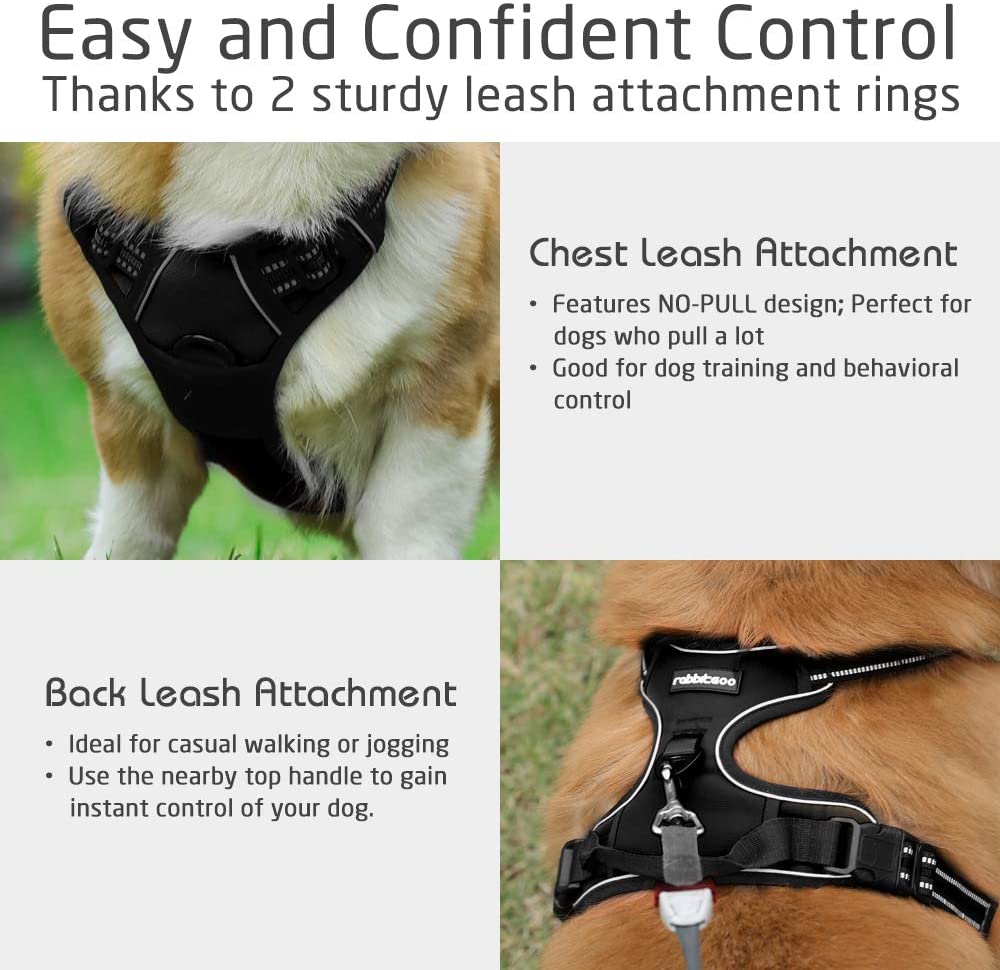 Rabbitgoo Dog Harness No-Pull Pet Rabbitgoo Dog Harness No-Pull Pet
