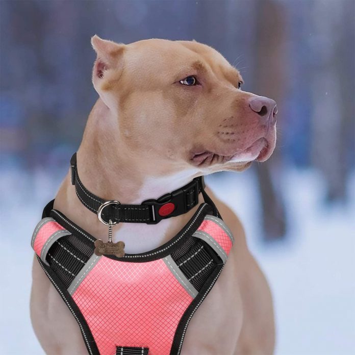 BABYLTRL Big Dog Harness No Pull Adjustable