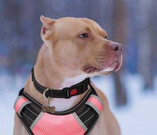 BABYLTRL Big Dog Harness No Pull Adjustable