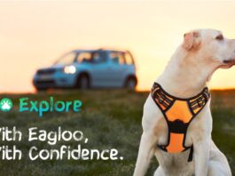 no pull leash petsmart