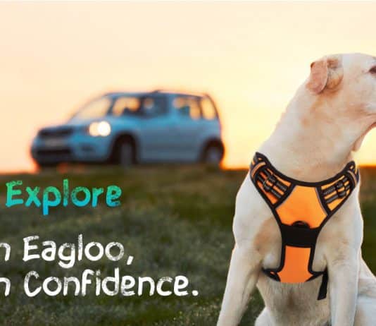 Eagloo Dog Harness No Pull Pet Handle Adjustable Reflective Breathable