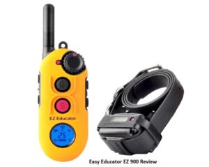 Easy Educator EZ 900 Review