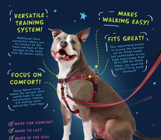 Mekuti Harness For Dogs Balance