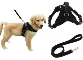 Diego No Pull Dog Harness Reflective Safety Pet Vest