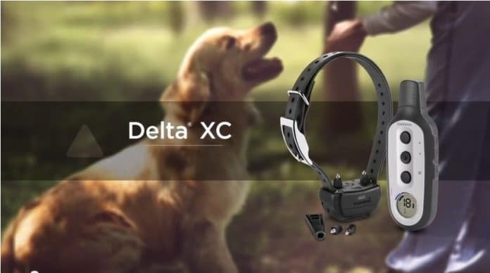 Garmin dog training collars Delta Sport XC